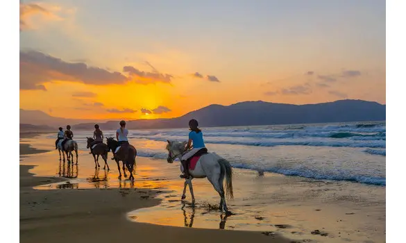 CHEVAL EN CEPHALONIE