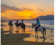 CHEVAL EN CEPHALONIE