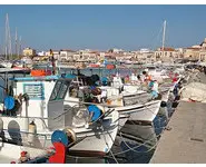 Aegina Island Tour