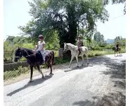 CHEVAL A CORFOU